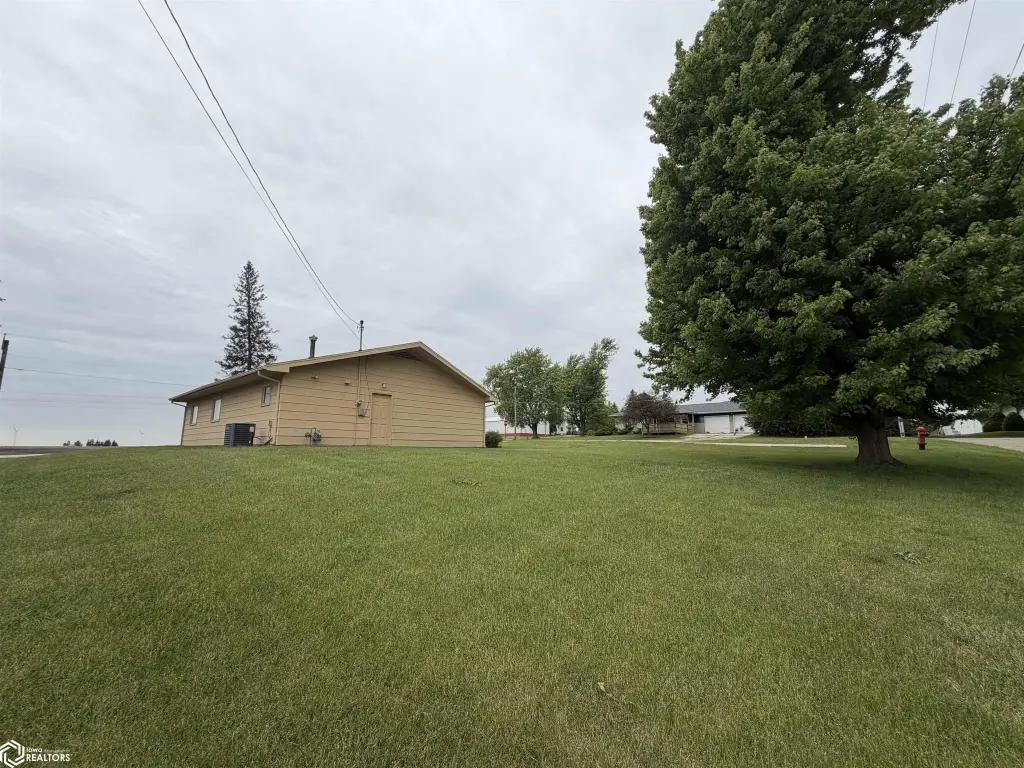 Picture 15