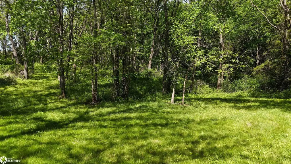 Picture 43