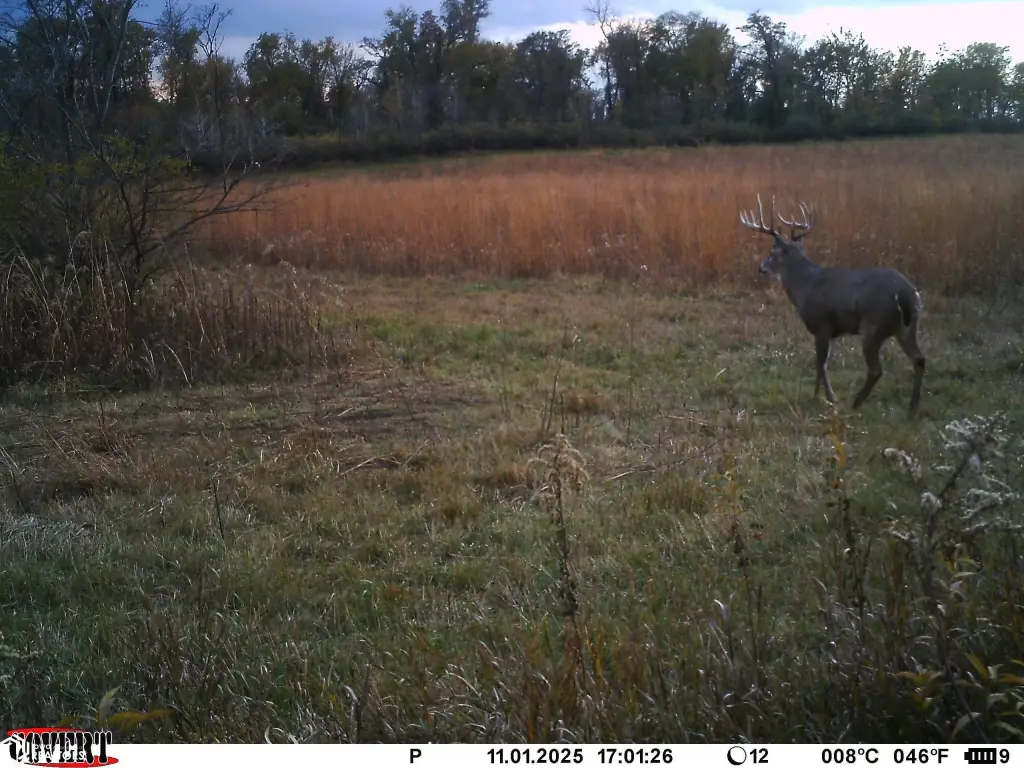 Picture 5