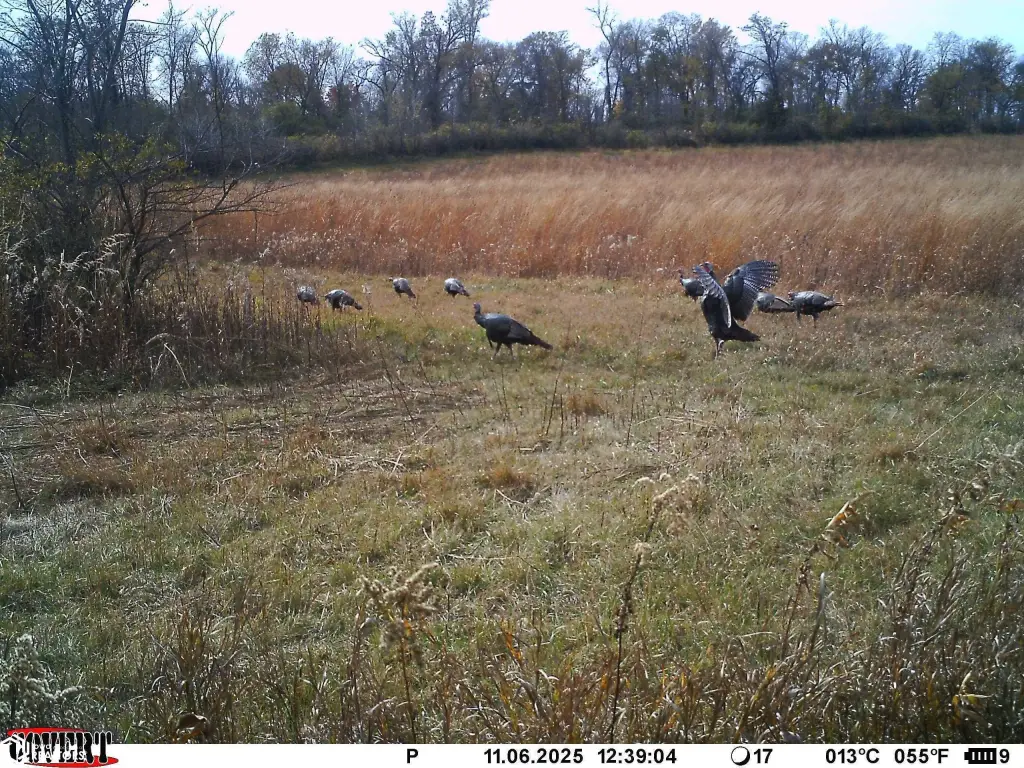 Picture 6