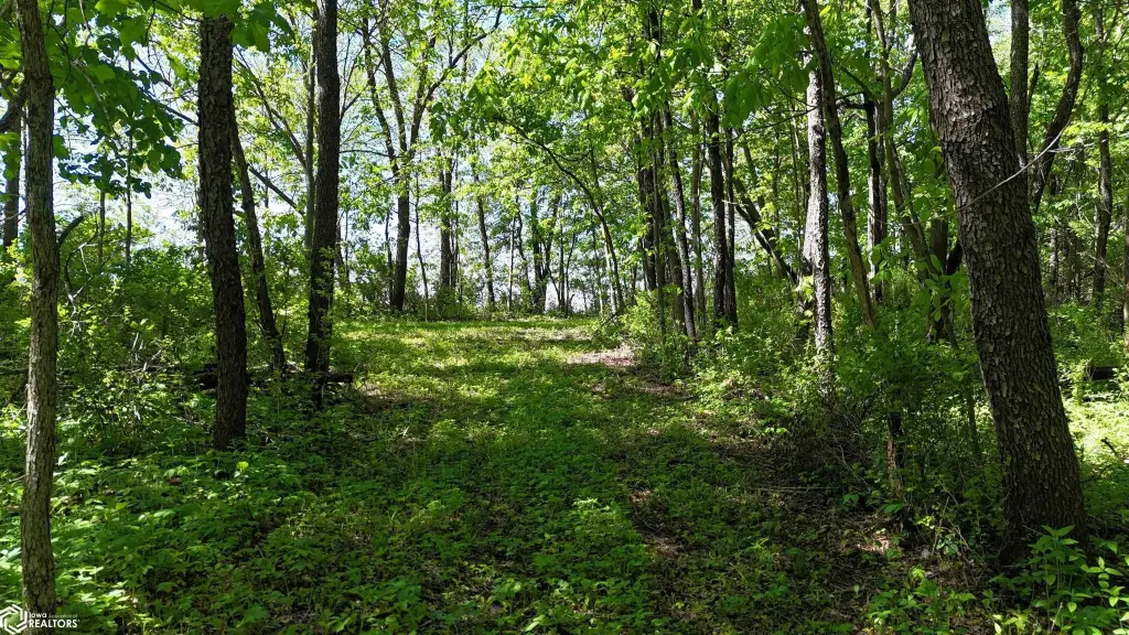 Picture 45