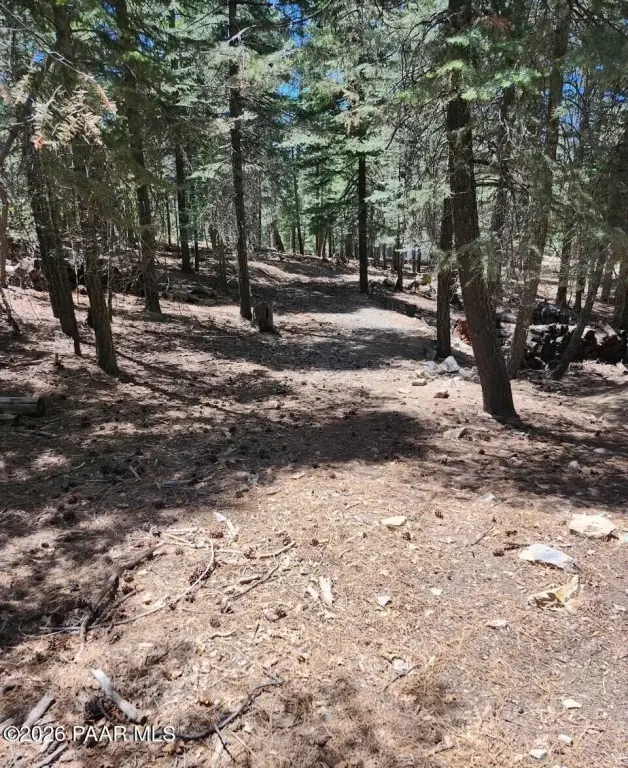 Picture 17