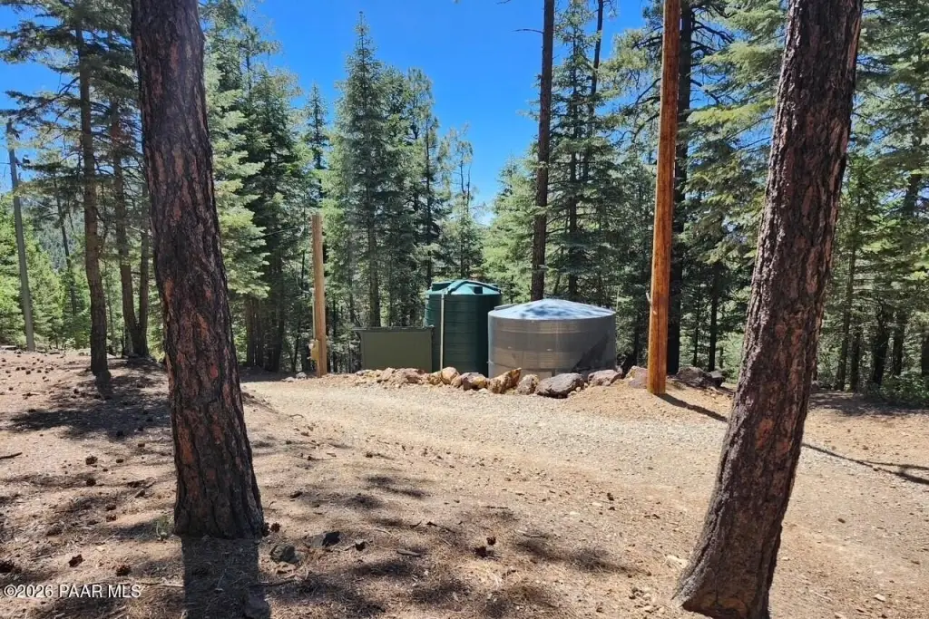 Picture 14