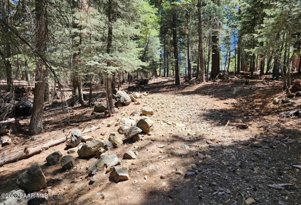 Picture 16