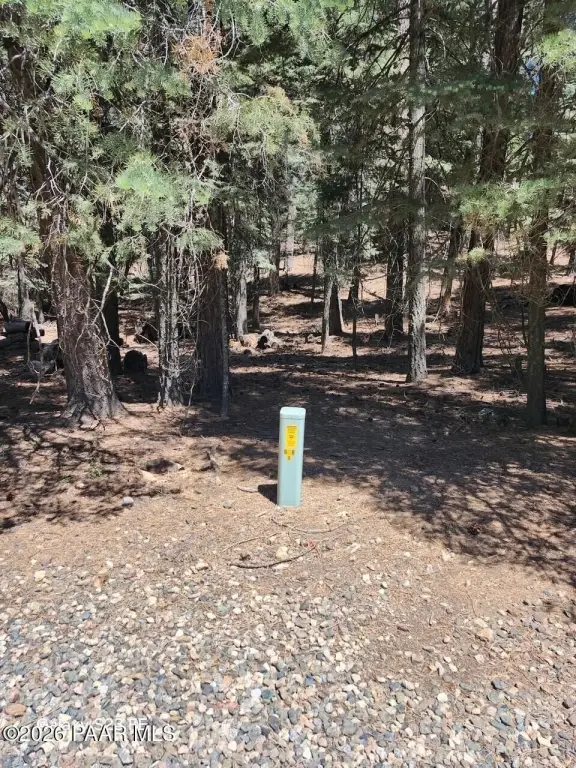 Picture 10