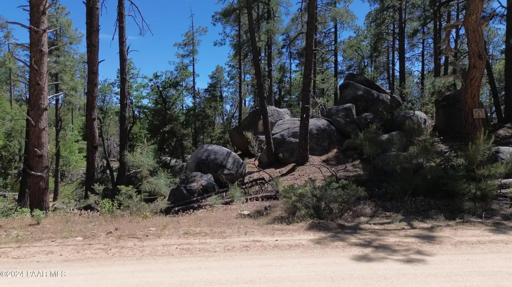 Picture 9