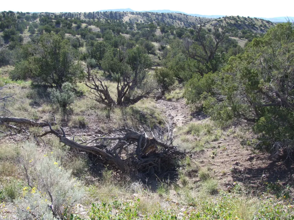 Picture 16