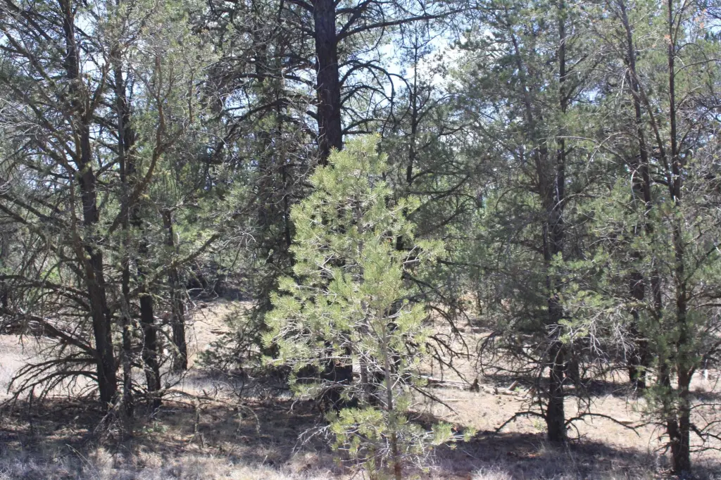 Picture 57