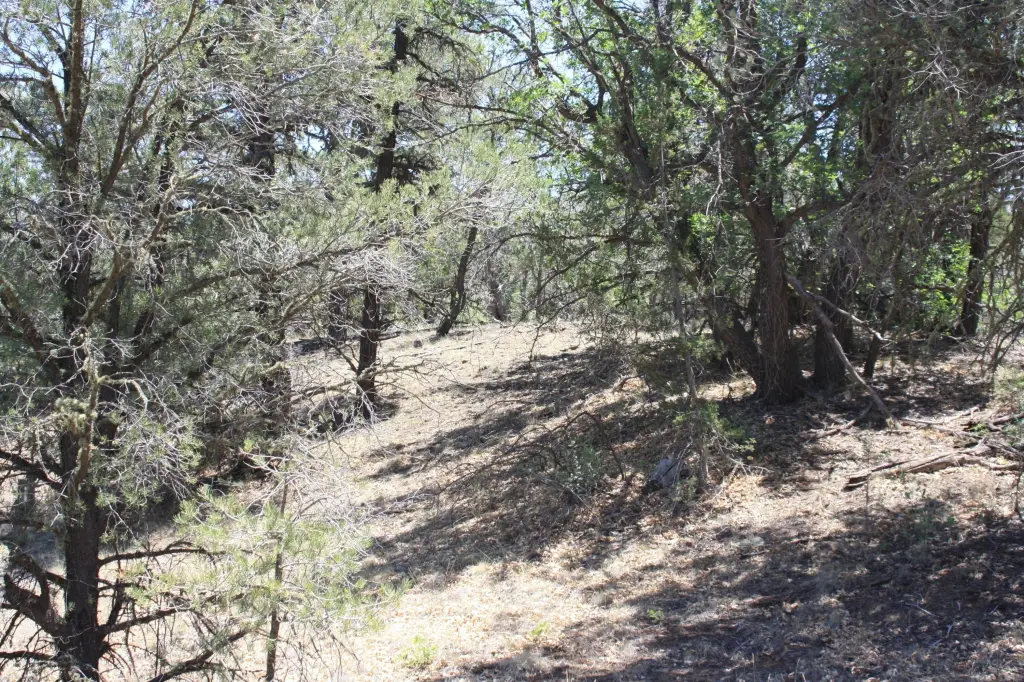 Picture 46