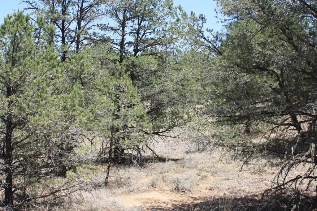 Picture 47