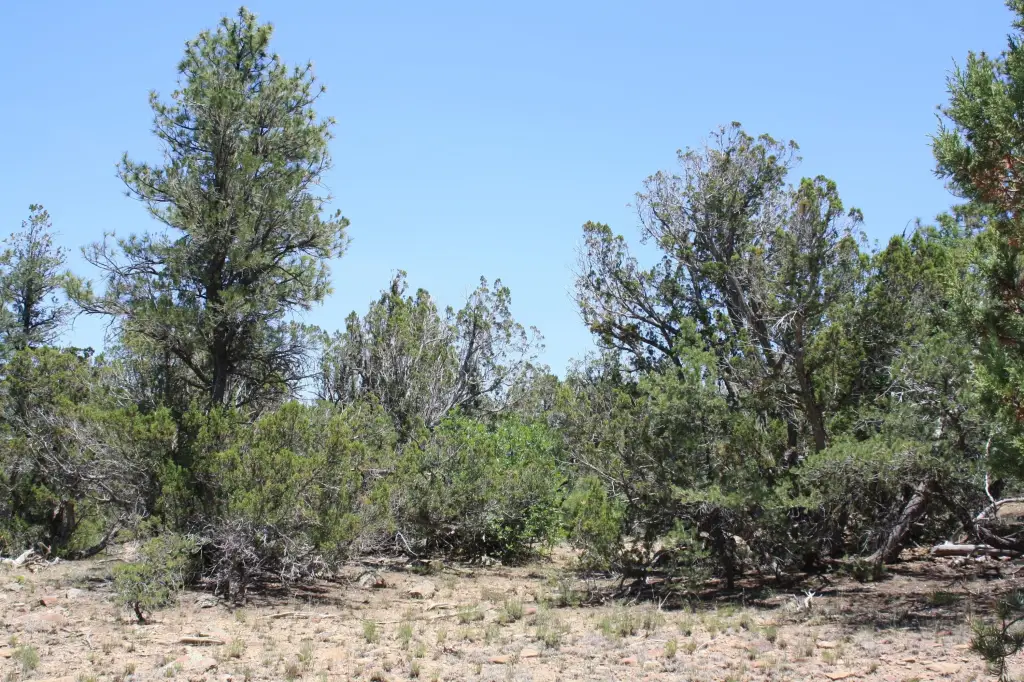 Picture 22