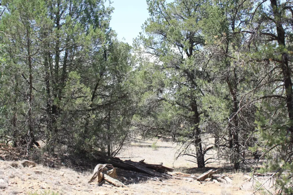 Picture 9