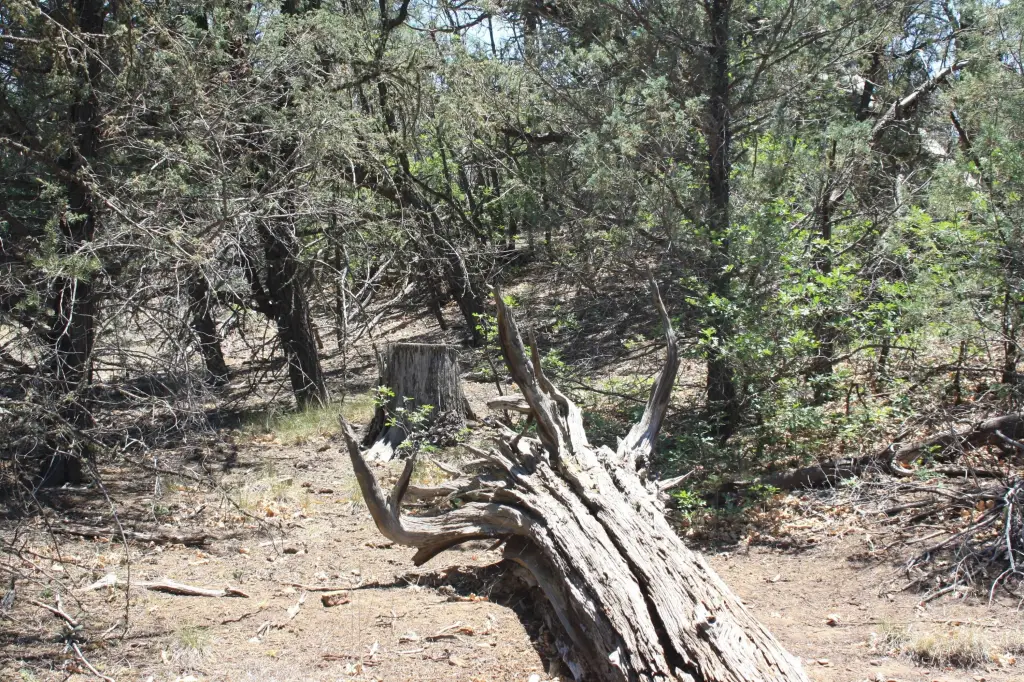 Picture 3