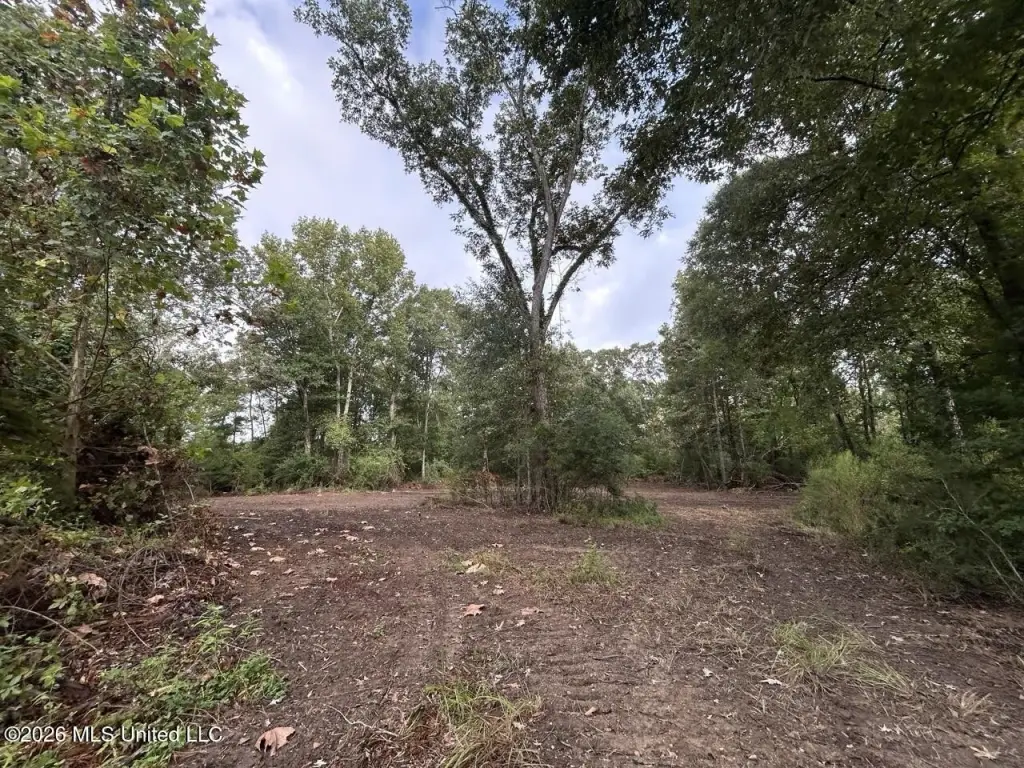 Picture 17