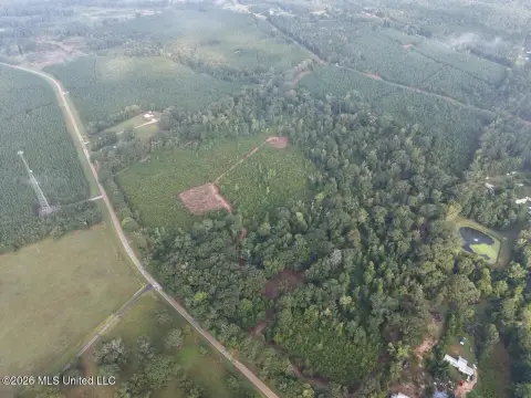 Hunting Land with Food Plots