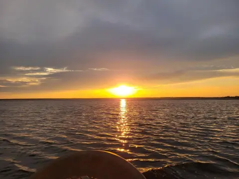 Ready-to-Build Land in Panacea, FL