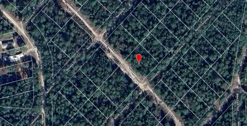 Picture of Land at N Carolina Dr 118, Satsuma, FL