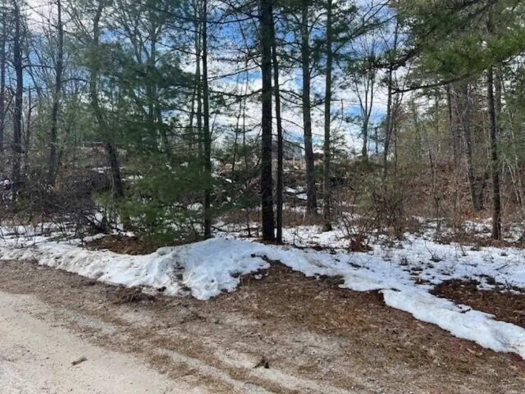 Picture 5