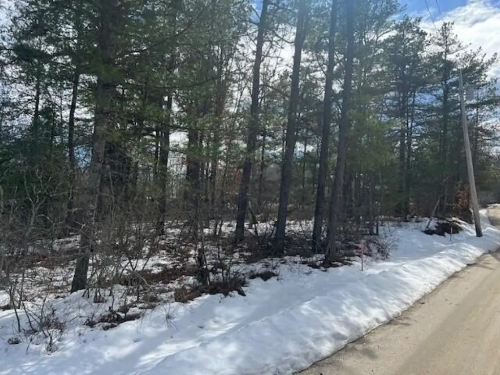 Picture 6