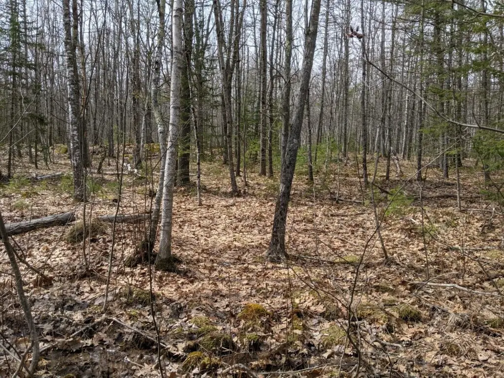 Picture 4