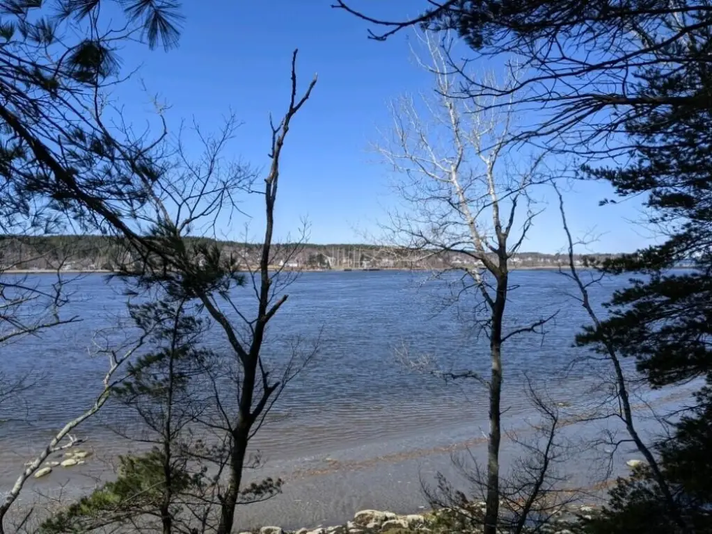 Picture 9