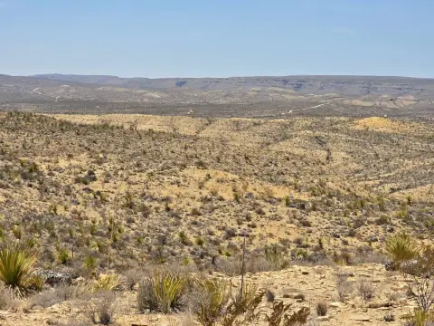 Terlingua Vacant Land with Views