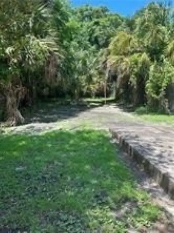 Picture 13