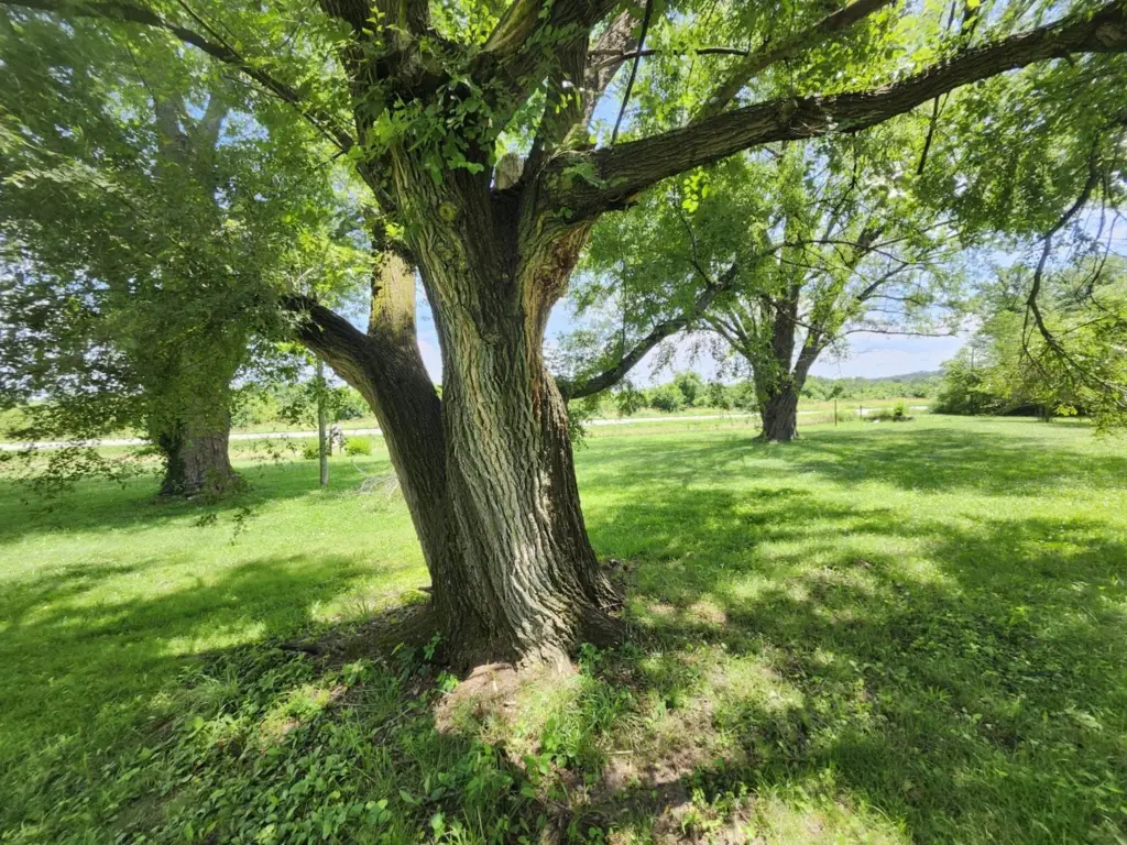 Picture 14