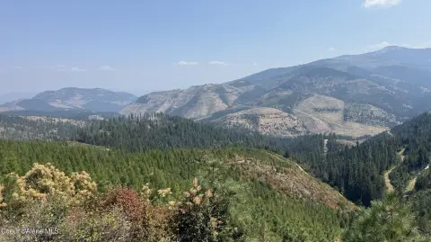 Timbered Recreational Land