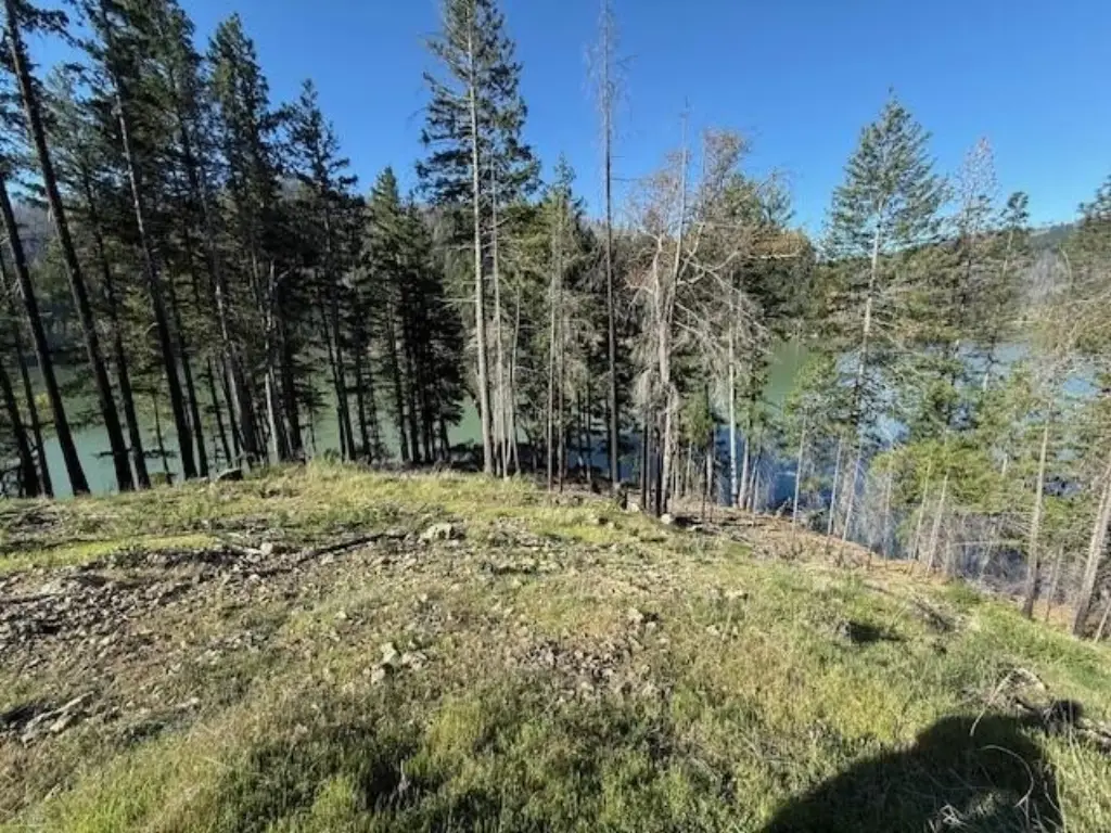 Picture 7