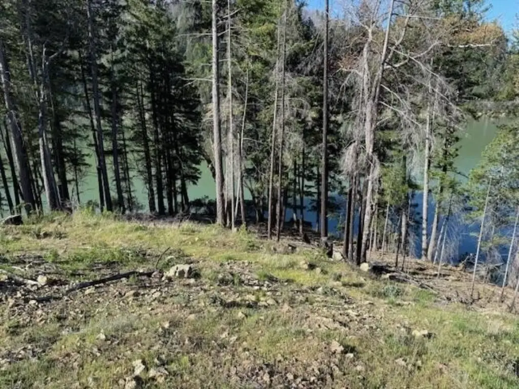 Picture 6