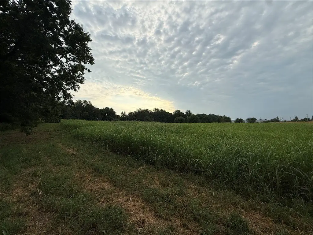 Picture 16