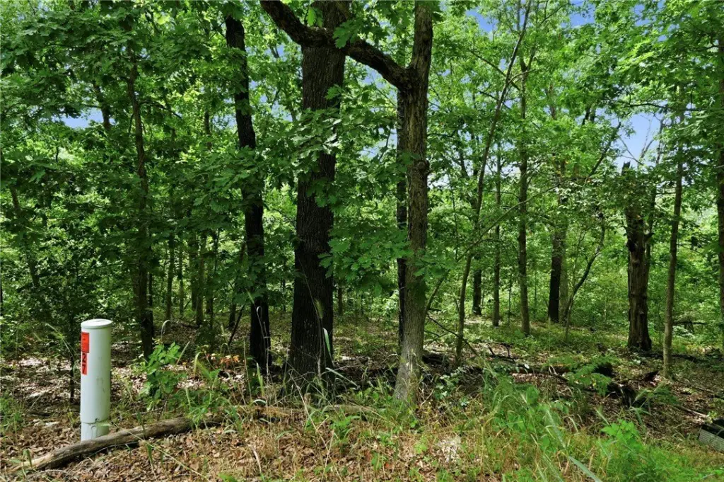 Picture 4