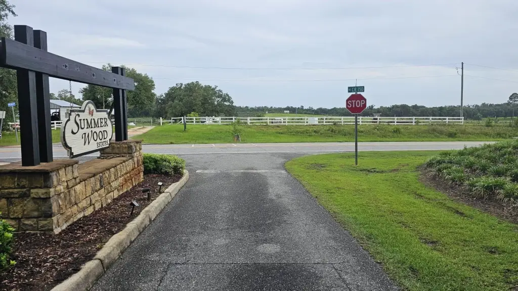 Picture 21