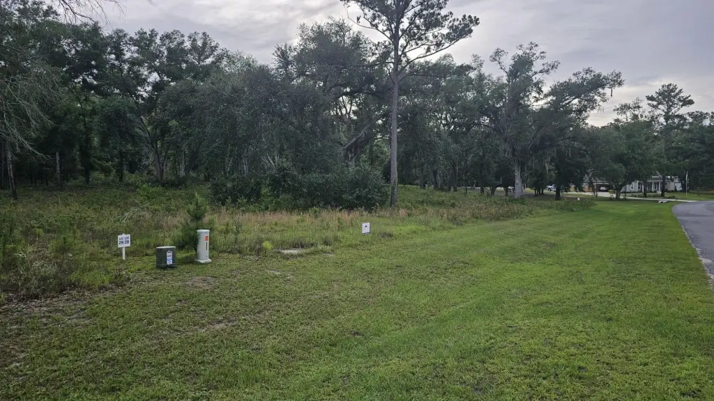Picture 16