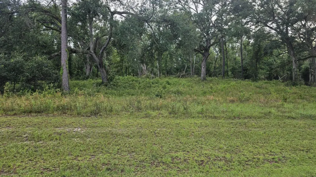 Picture 11