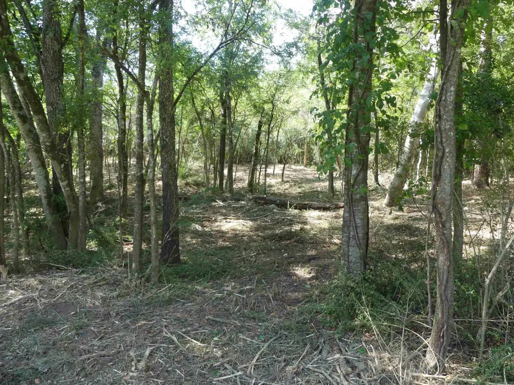 Picture 3
