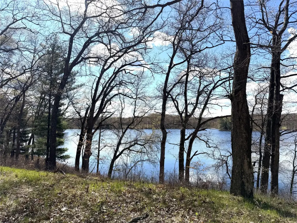 Picture 14