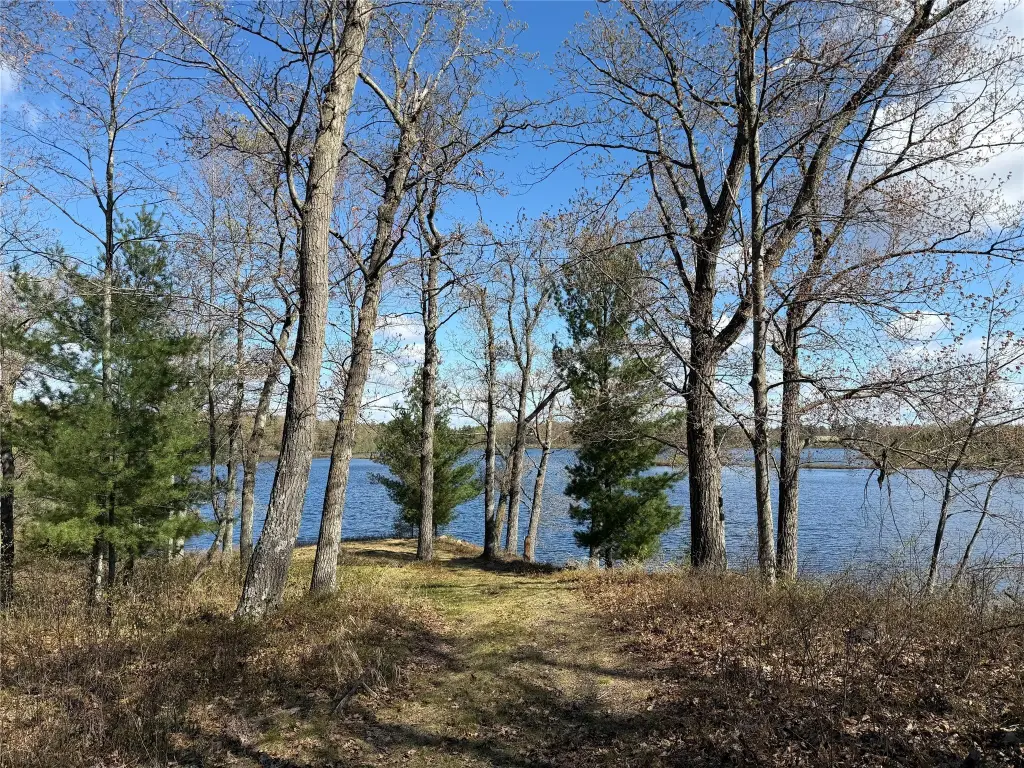 Picture 8