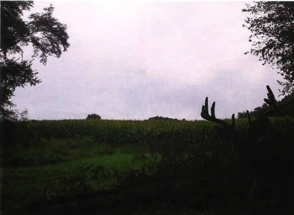 Picture 24