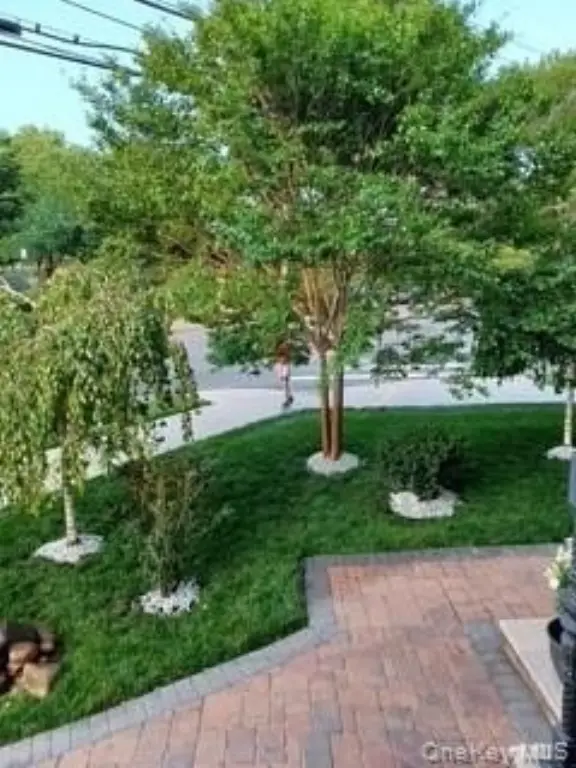 Picture 6