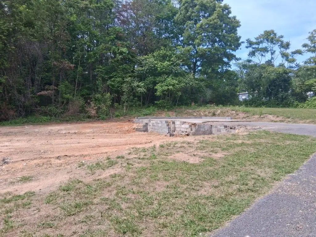 Picture 2