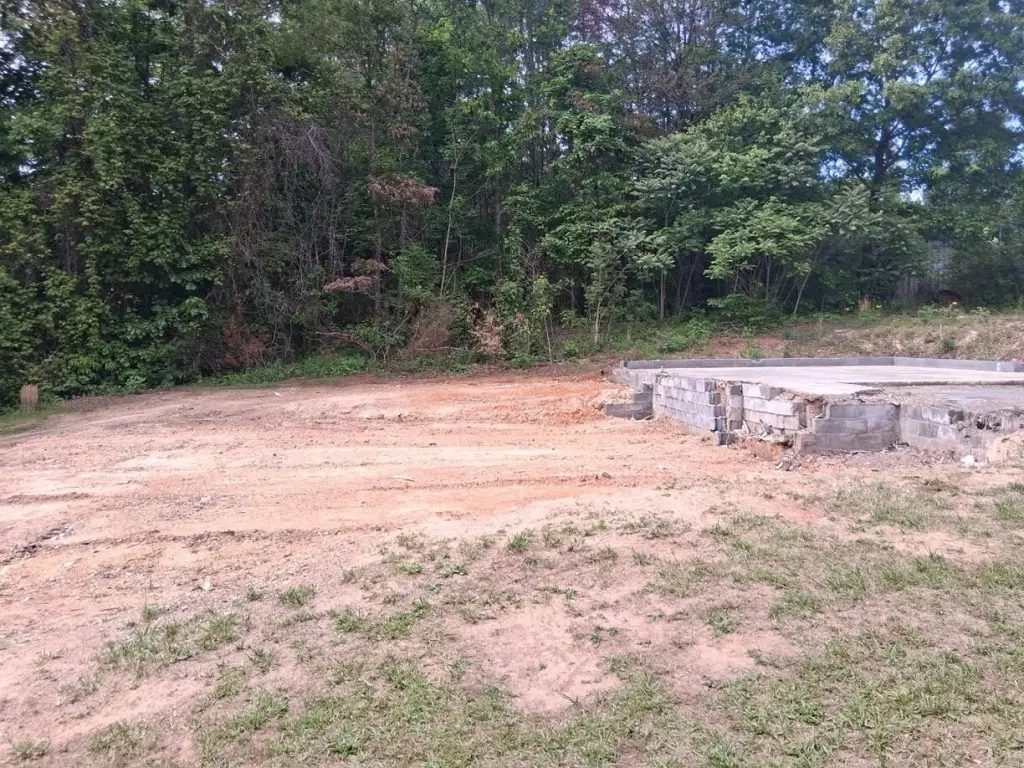 Picture 5