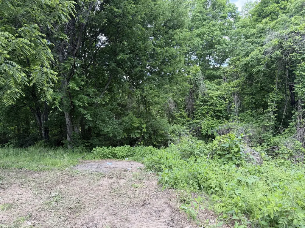Picture 16