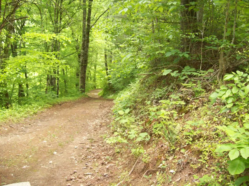Picture 5