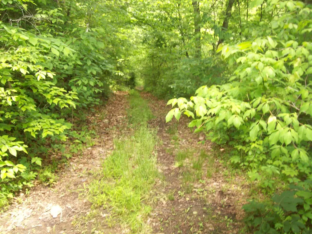 Picture 6