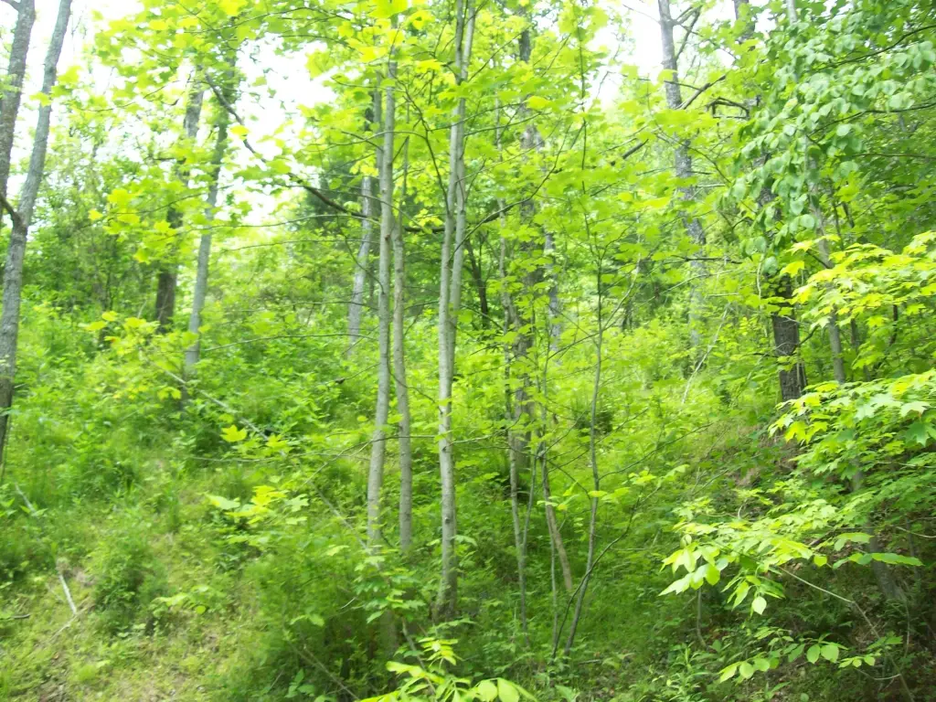 Picture 4