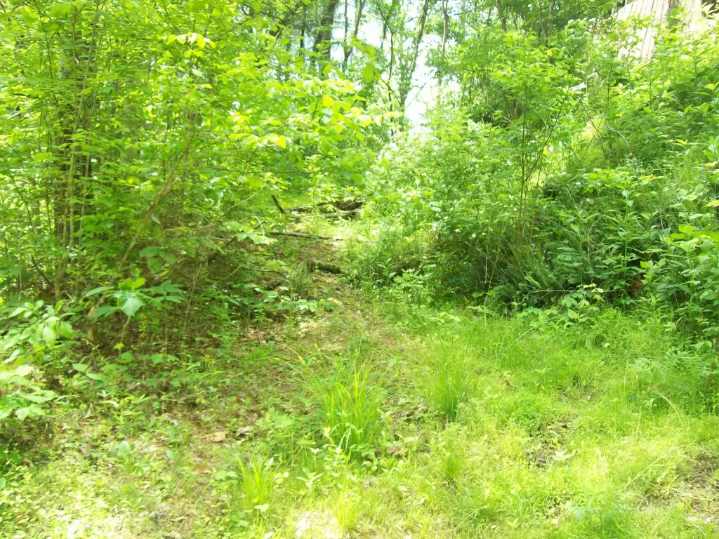 Picture 3