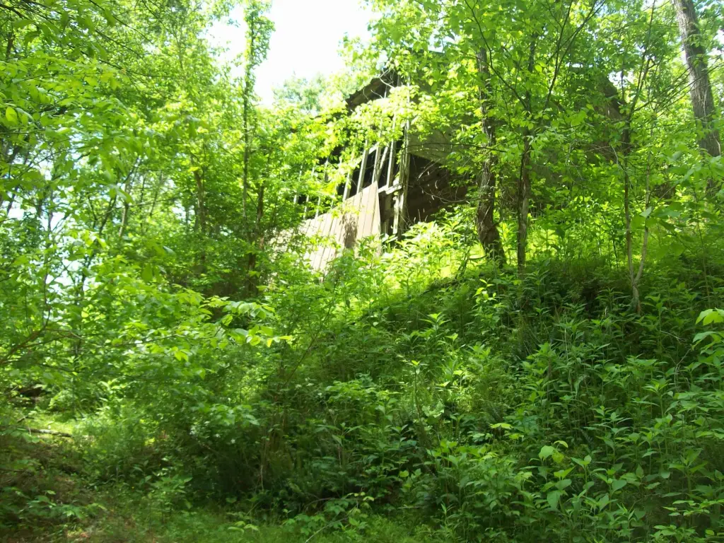 Picture 2