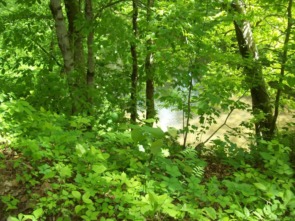 Picture 8